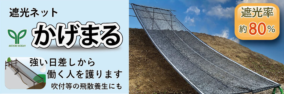 かげまる